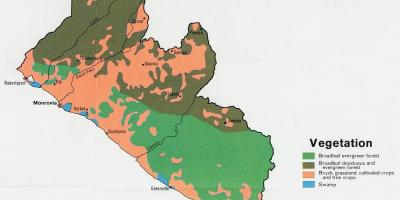 지도 식물의 지도의 라이베리아